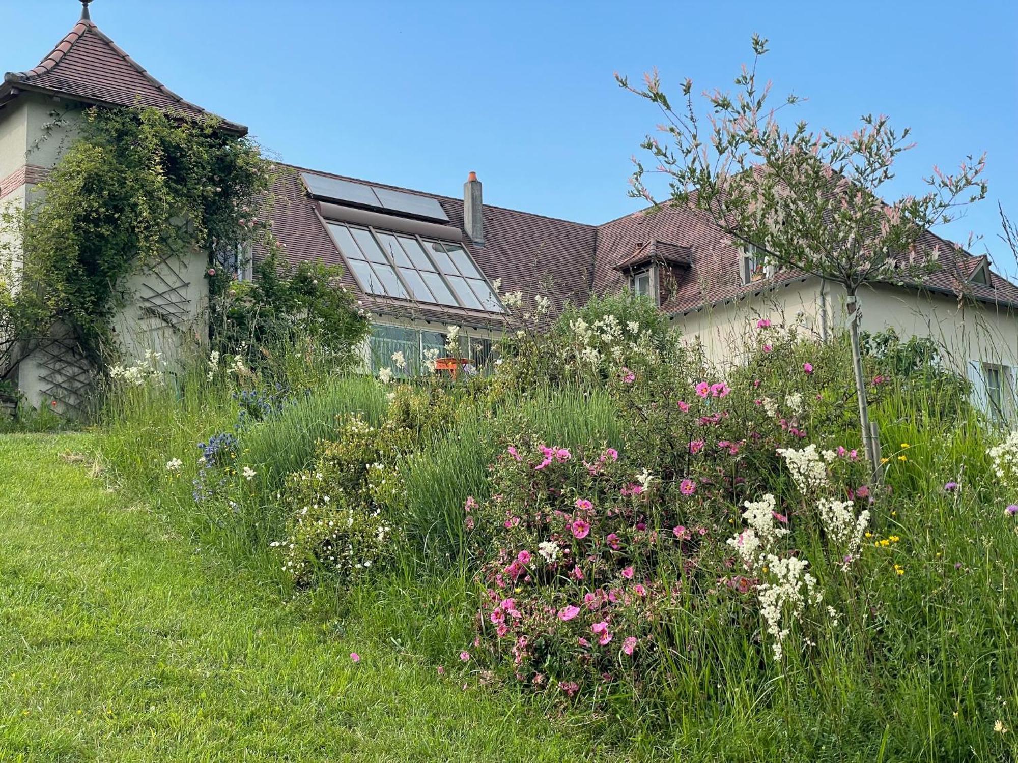 La Maison Du Parc Saint-Raphaël Exterior foto